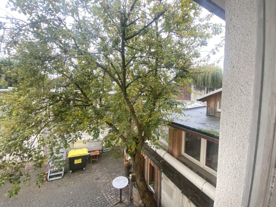 BI-West: Erstklassig in KP-Faktor und Ertragspotenzial - Bild